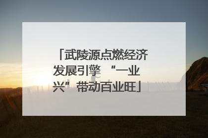 武陵源点燃经济发展引擎 “一业兴”带动百业旺