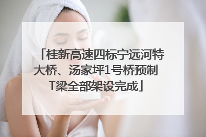 桂新高速四标宁远河特大桥、汤家坪1号桥预制T梁全部架设完成