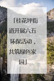 桂花坪街道开展六五环保活动，共筑绿色家园