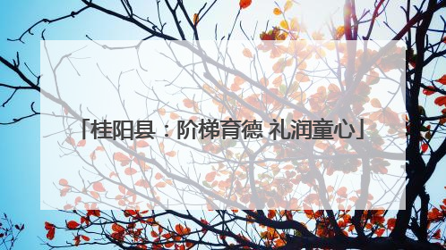 桂阳县：阶梯育德 礼润童心