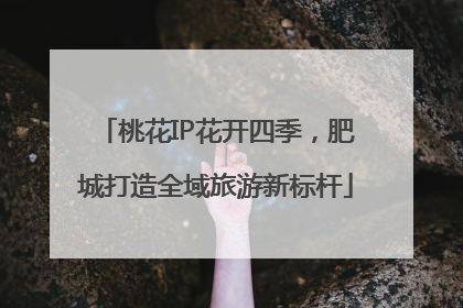桃花IP花开四季，肥城打造全域旅游新标杆