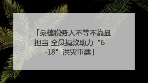 桑植税务人不等不靠显担当 全员捐款助力“6·18”洪灾重建