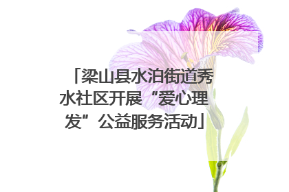 梁山县水泊街道秀水社区开展“爱心理发”公益服务活动