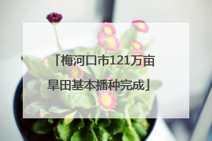 梅河口市121万亩旱田基本播种完成