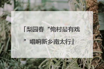 梨园春“俺村最有戏”唱响新乡南太行
