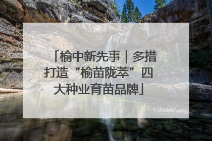 榆中新先事｜多措打造“榆苗陇萃”四大种业育苗品牌
