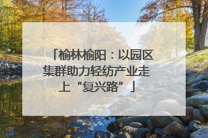 榆林榆阳：以园区集群助力轻纺产业走上“复兴路”