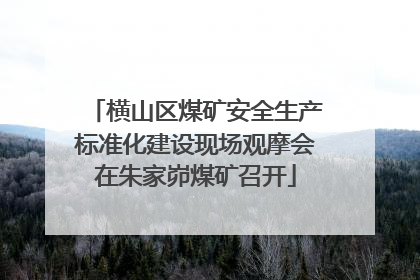 横山区煤矿安全生产标准化建设现场观摩会在朱家峁煤矿召开