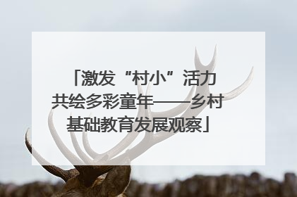 激发“村小”活力 共绘多彩童年——乡村基础教育发展观察