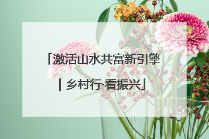 激活山水共富新引擎｜乡村行·看振兴