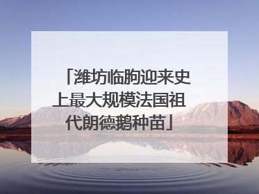 潍坊临朐迎来史上最大规模法国祖代朗德鹅种苗