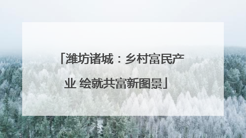 潍坊诸城：乡村富民产业 绘就共富新图景