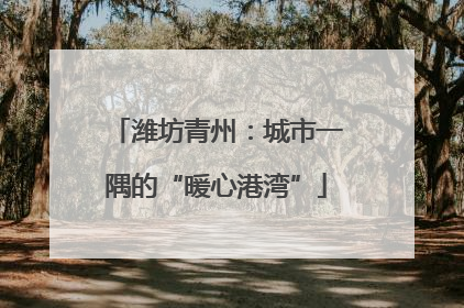 潍坊青州：城市一隅的“暖心港湾”