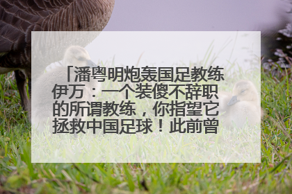 潘粤明炮轰国足教练伊万：一个装傻不辞职的所谓教练，你指望它拯救中国足球！此前曾多次发文评价国足