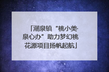 潮泉镇“桃小美·泉心办”助力梦幻桃花源项目扬帆起航