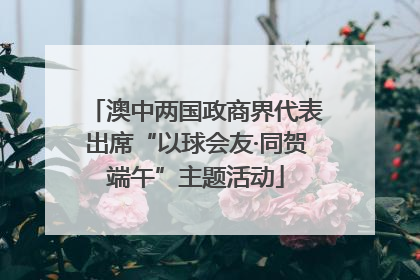 澳中两国政商界代表出席“以球会友·同贺端午”主题活动