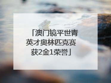 澳门镜平世青英才奥林匹克赛获2金1荣誉