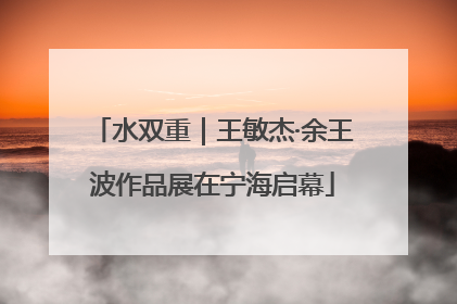 水双重｜王敏杰·余王波作品展在宁海启幕