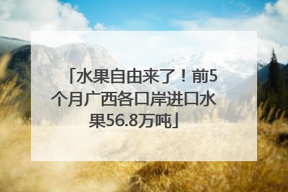 水果自由来了！前5个月广西各口岸进口水果56.8万吨