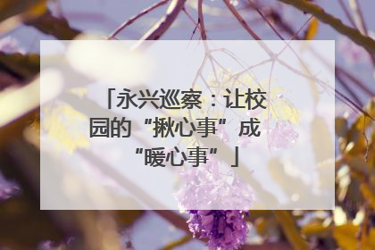 永兴巡察：让校园的“揪心事”成“暖心事”