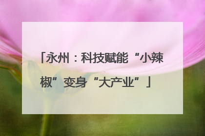 永州：科技赋能“小辣椒”变身“大产业”