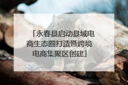 永春县启动县域电商生态圈打造暨跨境电商集聚区创建