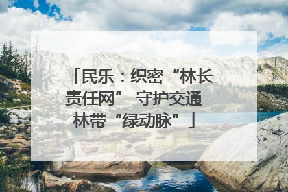民乐：织密“林长责任网” 守护交通林带“绿动脉”