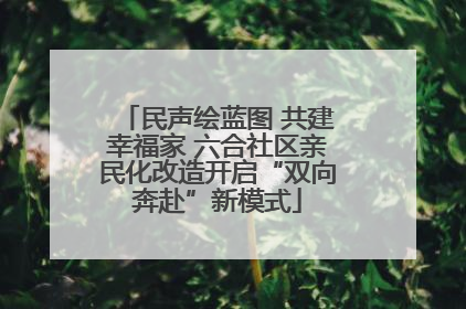民声绘蓝图 共建幸福家 六合社区亲民化改造开启“双向奔赴”新模式
