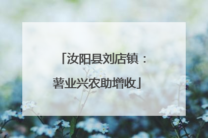 汝阳县刘店镇：薯业兴农助增收