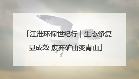 江淮环保世纪行｜生态修复显成效 废弃矿山变青山