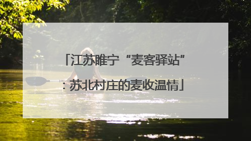 江苏睢宁“麦客驿站”：苏北村庄的麦收温情