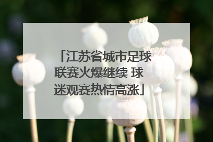 江苏省城市足球联赛火爆继续 球迷观赛热情高涨
