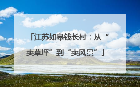 江苏如皋钱长村：从“卖草坪”到“卖风景”
