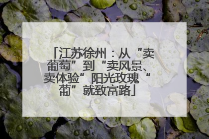 江苏徐州：从“卖葡萄”到“卖风景、卖体验”阳光玫瑰“葡”就致富路