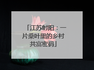 江苏射阳：一片桑叶里的乡村共富密码