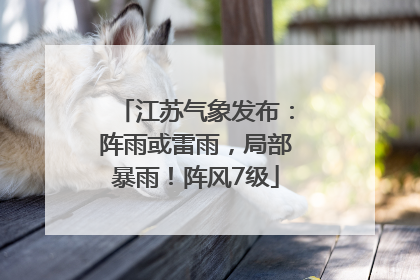 江苏气象发布：阵雨或雷雨，局部暴雨！阵风7级