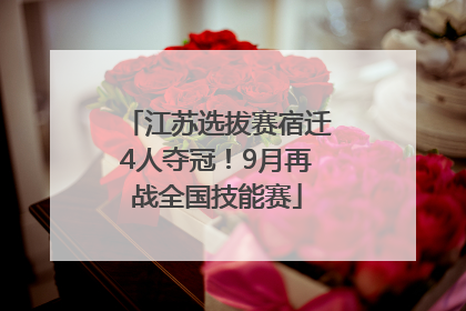 江苏选拔赛宿迁4人夺冠！9月再战全国技能赛