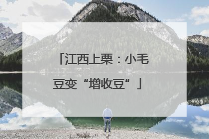 江西上栗：小毛豆变“增收豆”