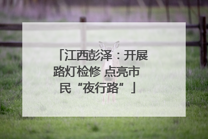 江西彭泽：开展路灯检修 点亮市民“夜行路”