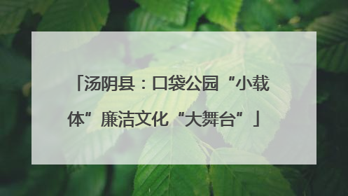 汤阴县：口袋公园“小载体”廉洁文化“大舞台”