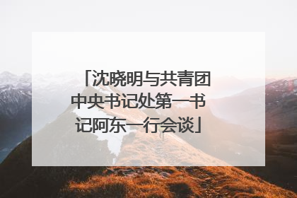 沈晓明与共青团中央书记处第一书记阿东一行会谈