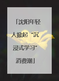 沈阳年轻人掀起“沉浸式学习”消费潮