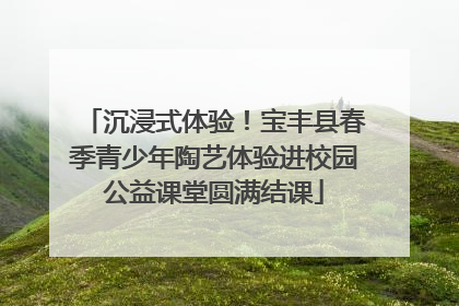 沉浸式体验！宝丰县春季青少年陶艺体验进校园公益课堂圆满结课