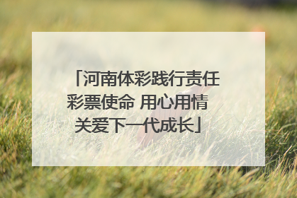 河南体彩践行责任彩票使命 用心用情关爱下一代成长