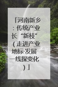 河南新乡：传统产业长“新枝”（走进产业地标·发展一线探变化）