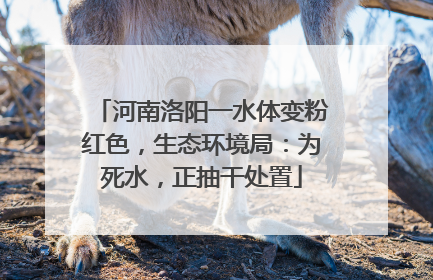 河南洛阳一水体变粉红色，生态环境局：为死水，正抽干处置