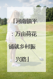 河南镇平：万亩荷花铺就乡村振兴路