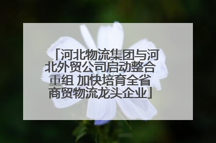 河北物流集团与河北外贸公司启动整合重组 加快培育全省商贸物流龙头企业