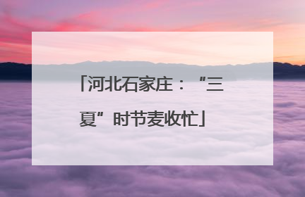 河北石家庄：“三夏”时节麦收忙