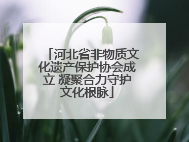 河北省非物质文化遗产保护协会成立 凝聚合力守护文化根脉